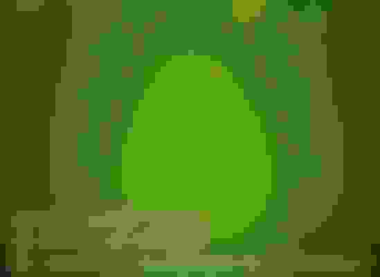 bg-1